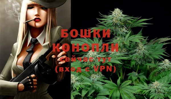 мдма Козельск