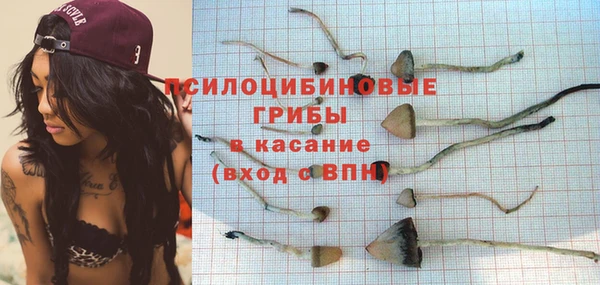 МДПВ Козловка