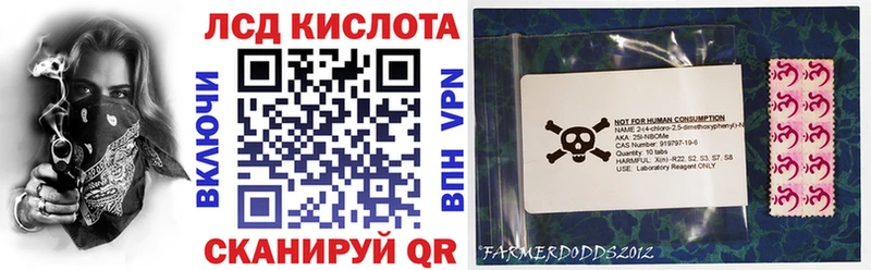 Купить  Лесной  Наркотические марки 1500мкг 